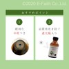 Natural 100% Eucalyptus Citriodora Oil (Lemon Eucalyptus) 100ml Essential Oil