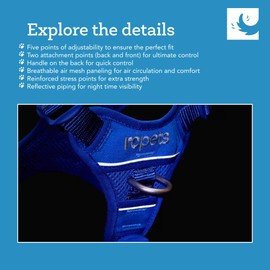 The RC Pets No-Pull, Breathable, Durable Momentum Control Harness | Large, Sapphire