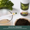 100 Strip Soil pH Test Kit - Complete pH Test