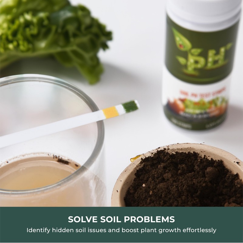 100 Strip Soil pH Test Kit - Complete pH Test