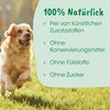 cdVet Calma LÖSUNG für Hunde und Katzen bei Nervosität und