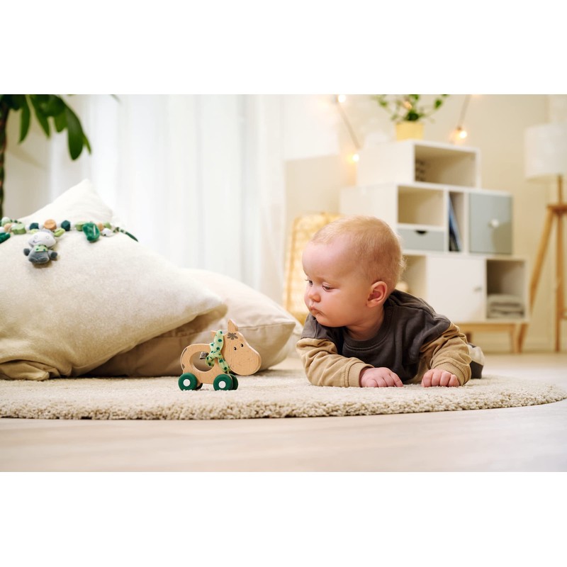 Eichhorn EH Baby Hipp Schiebe-Esel