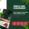 Verdeherb Sarsaparilla Root Capsules, Natural 6-in-1 Formula Supplement with Sarsaparilla