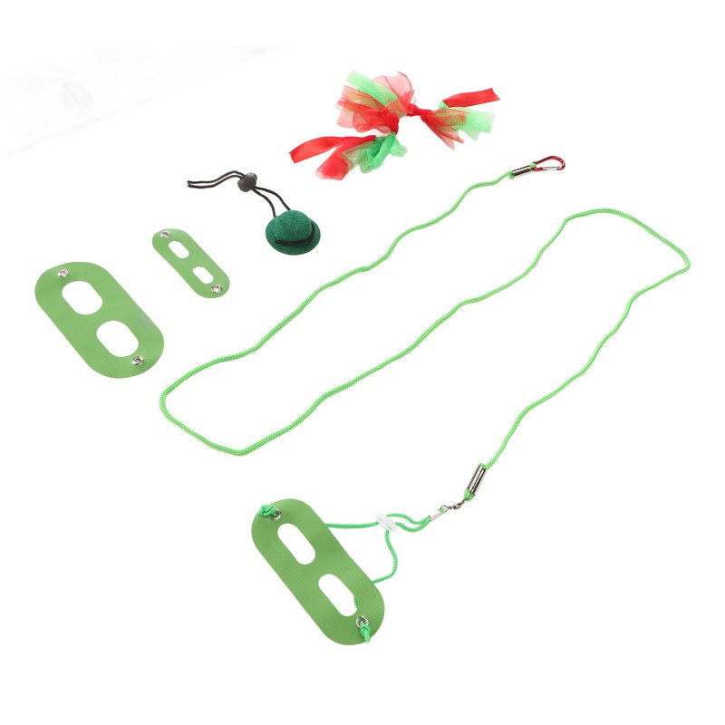 Reptile Pet Leash Kit Christmas Reptile Harness with Skirts Hat