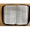 Biblia Letra Gigante 14 puntos con cierre Reina valera 1960
