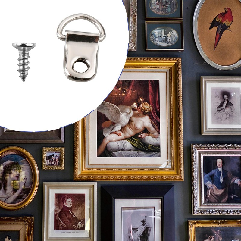 Tabanzhe 50 PCS D Ring Hangers,Home Decoration Picture Frame D