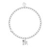 Life Charms Pugs & Kisses bracelet