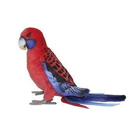 Hansa 8222 Crimson Rosella 30cm