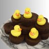 Oasis Supply Duck Cupcake Picks, 48-Pack