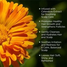 FULL OF NATURE FUNAT Natural Herbal Calendula Shampoo Hair Growth Sulfate Free Treatment Champu para la Crecimiento Cabello Productos Naturales 15 fl Oz