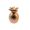 speed mao Ceramic Pineapple Shaped Coin Bank Pink Gold