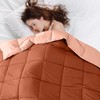 Modern Threads Down Alternative Reversible Comforter Rust/Clay King