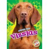 Vizslas (Awesome Dogs)