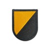 Insignia Depot Ranger Training Brigade Flash