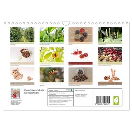 Gewürze und wie sie wachsen (Wandkalender 2025 DIN A4 quer), CALVENDO Monatskalender [Calendar] Dwi Anoraganingrum