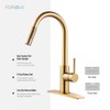 FORIOUS Gold Kitchen Faucet with Pull Down Sprayer, Kitchen Faucet