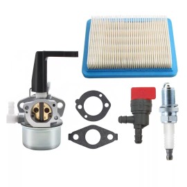 Carburetor 696981 696065 697422 for Briggs & Stratton 110402 110412 215369 5-7HP