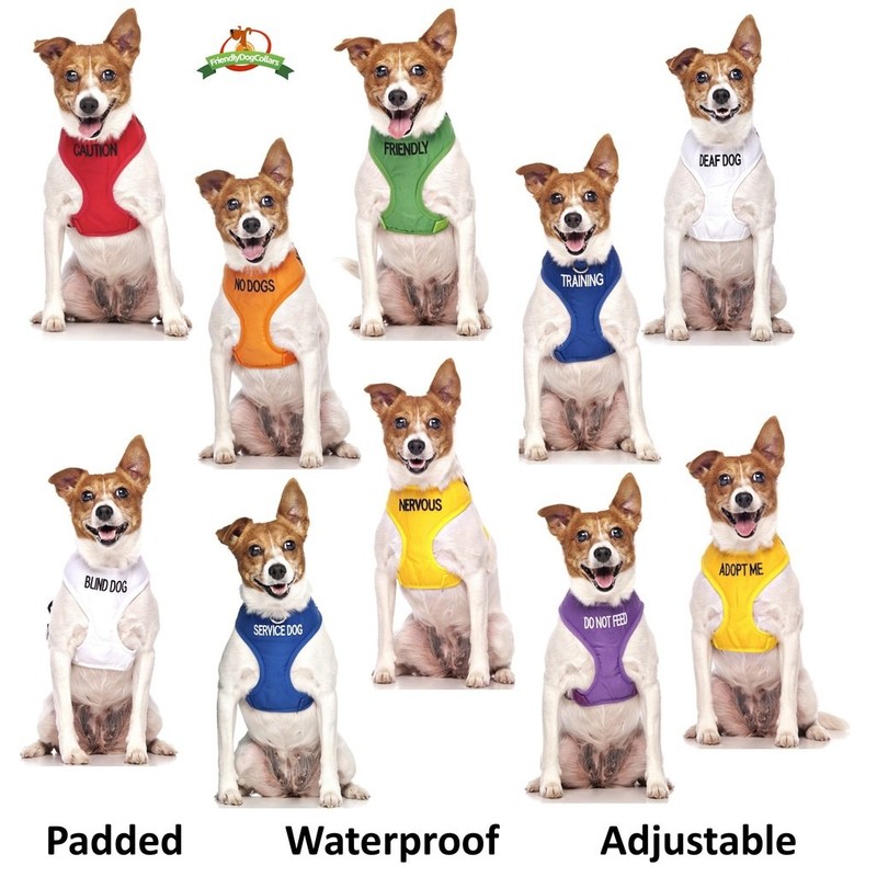 FRIENDLY (Known as Friendly) Green Colour Coded Neoprene Padded Dog