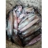 kraken killer jigs squid jigs fishing glow in the dark