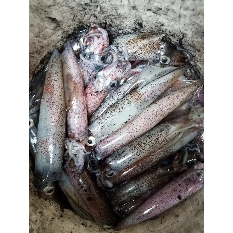 kraken killer jigs squid jigs fishing glow in the dark