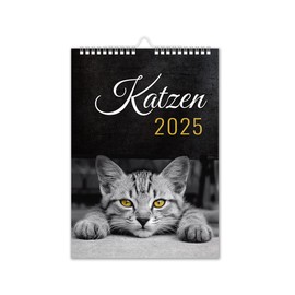 Calendar 2025 Cat Wall Calendar DIN A4 Cat Calendar with School Holidays Cat Motif Black