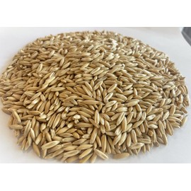 AA Plus Shop Premium Triple Cleaned Whole Oats, Horse Feed, Garden Grass Growing and Mushroom Growing, 10lb Bag