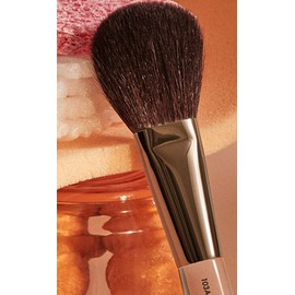 Picasso Best Makeup Brush Set of 5 + Purple Cylindrical Case