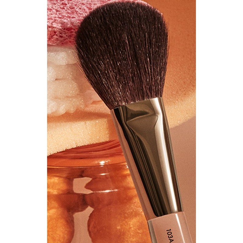 Picasso Best Makeup Brush Set of 5 + Purple Cylindrical