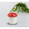dgudgu Mushroom Microwave Cleaner Steam Ceramic Oven Cleaner Microwave Steam