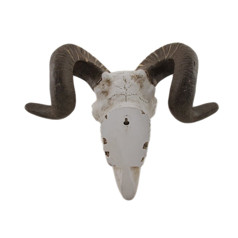 Deco 79 Polystone Sheep Home Wall Decor Skull Wall Sculpture,