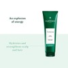 René Furterer - FORTICEA - Energizing & Strengthening Conditioner For