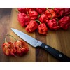 Carolina Reaper Red Pepper Seeds