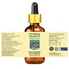 Devprayag Pure Melissa Essential Oil (Melissa officinalis) with Glass Dropper