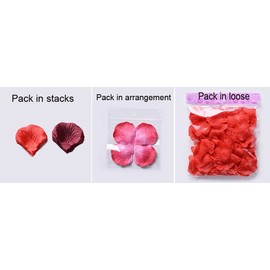 Ocharzy Rose Petals Silk 1000pcs Petals for Wedding Artificial Flower Petals Decoration Decoration (A-Champagne)