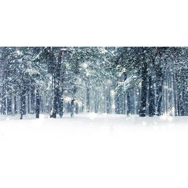Yeele 20x10ft Winter Snowy Forest Backdrop Beautiful Snowflake Wonderland Nature Scenery Landscape Photography Background for Christmas Bokeh Outdoor Party Decor Banner Kids Adults Portrait Photoshoot