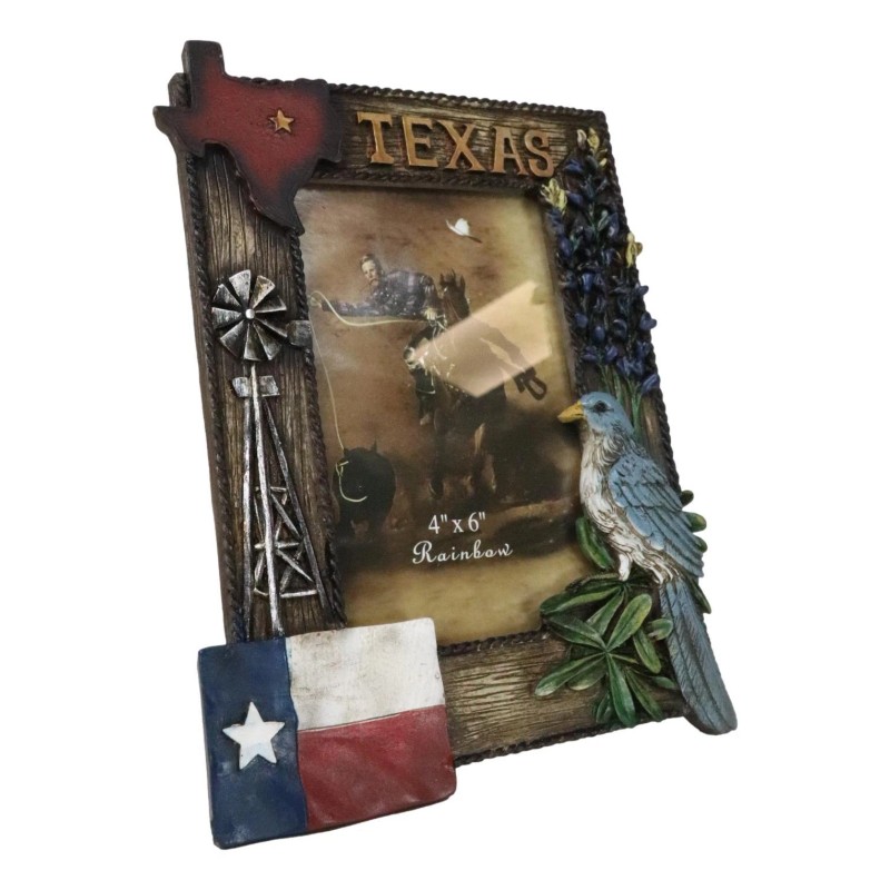 Ebros Gift Rustic Western Patriotic Texas Mockingbird Windmill Bluebonnets Picture