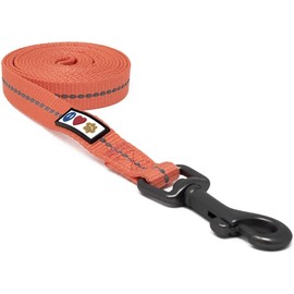 Pawtitas ♻️ Recycled Dog Leash with Reflective Stitched Thread Stitched on Side| Reflective Dog Leash Made from Plastic Bottles Collected from Oceans – 6 ft Dog Leash