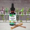 Nature's Answer Licorice Root | Herbal Supplement | Supports Digestive