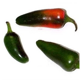 Organic Jalepeno Pepper - 50 Seeds Bulk Vegetable Seed