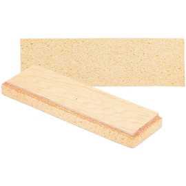Raimondi Epoxy Floor Sponge 17" x 5" for Pedalo