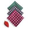 TaecMin Corbata de Navidad para hombre con pañuelo y pañuelo,