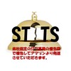 ST TS Tabletop Bell Chime Reception Plate Counterbell Reception Counter