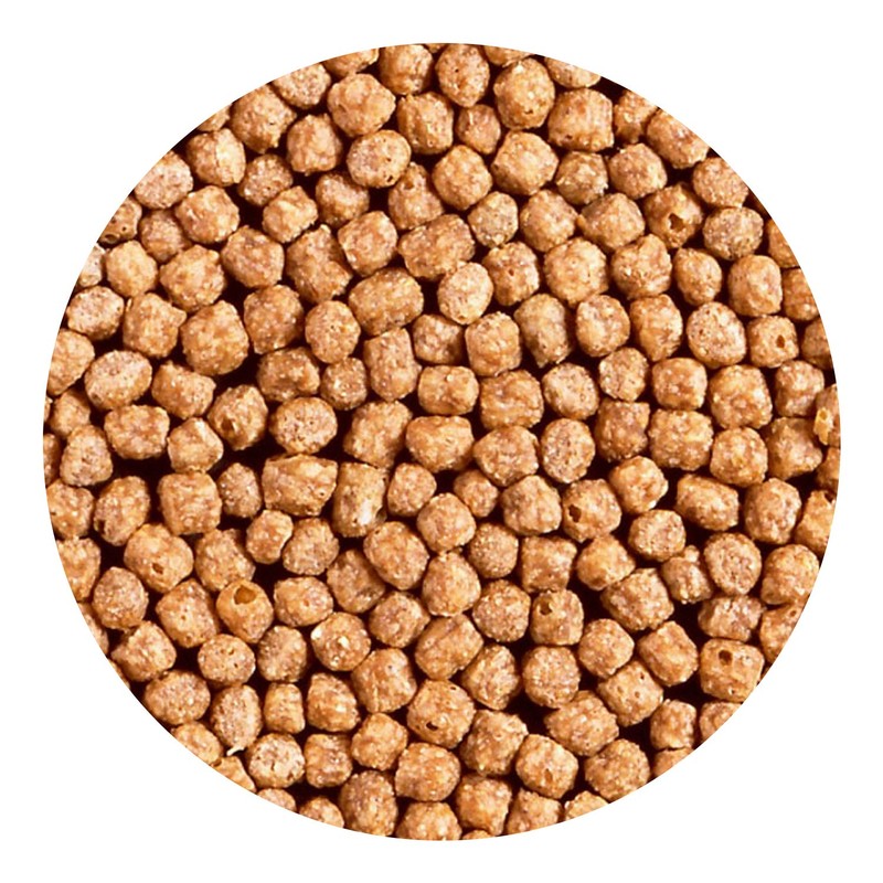 Hikari Usa Inc AHK06226 Wheat Germ 7-Ounce Mini