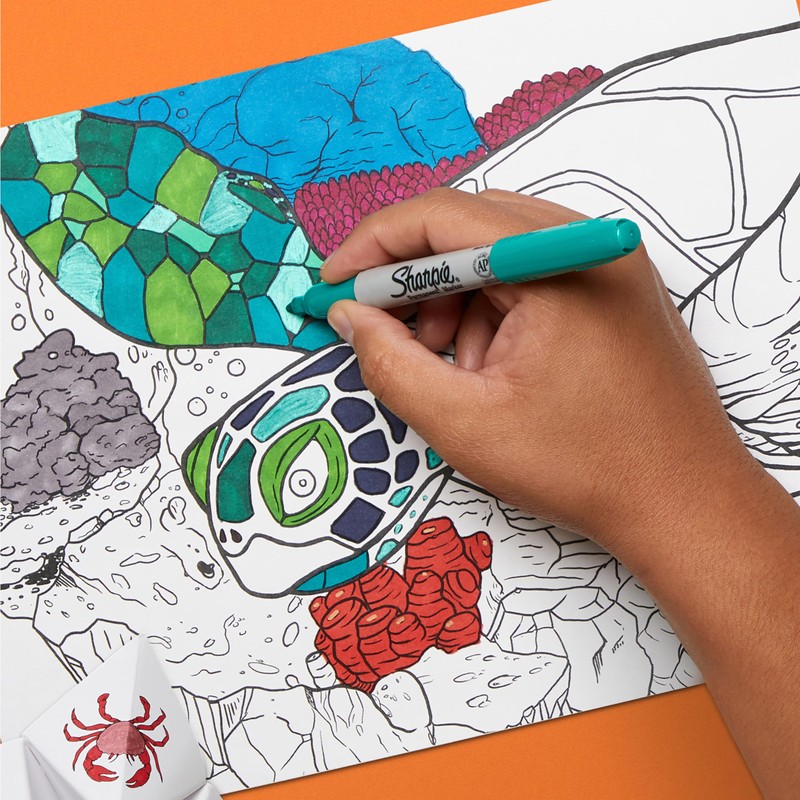 Sharpie Permanent Markers | Fine Point | Cosmic Colour |