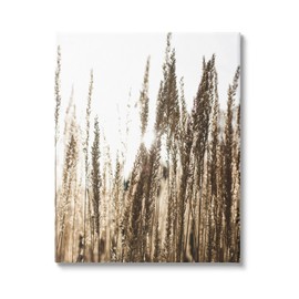 Stupell Industries Light Ray though Wheat Field Canvas Wall Art, Design by Susan Ball