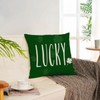 St Patricks Day Throw Pillow Covers 18x18 Set of 4