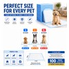 Puppy Pads 100 Count, 13" x 18" (33 x 45