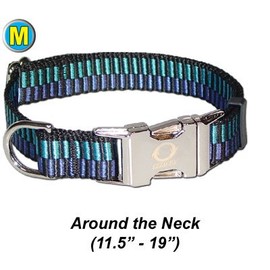 Collar w/ All Metal Hardware - Medium 11.5 - 19" - Champagne Pet/Dog Collar