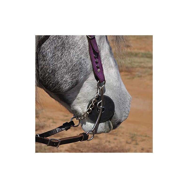 Carol Goosetree Dr Bristol Long Pickup Bit