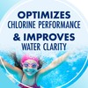ARM & HAMMER Clear Balance Swimming Pool Alkalinity pH Maintenance